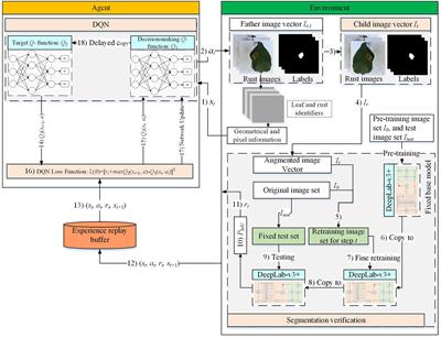 Deep reinforcement learning enables adaptive-image augmentation for automated optical inspection of plant rust